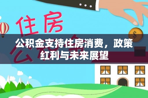 长宁公积金支持住房消费，政策红利与未来展望